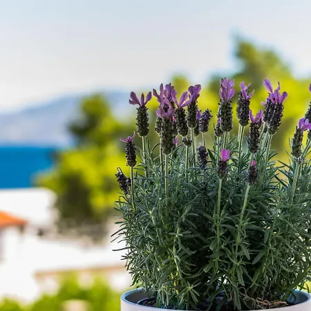 2 Pools-4 By Interhome *