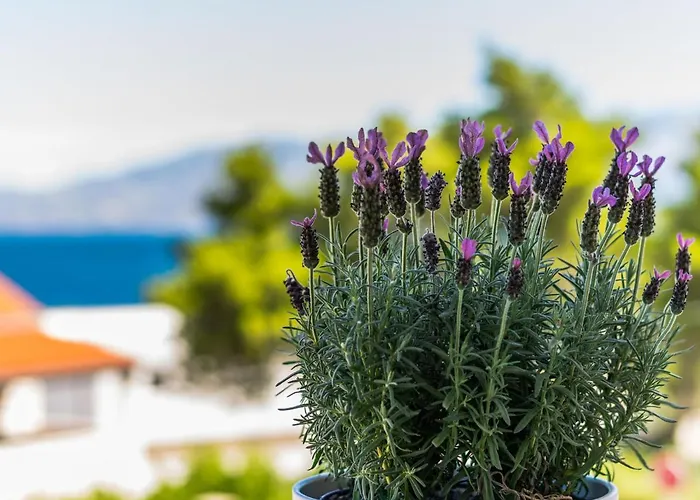 2 Pools-4 By Interhome *